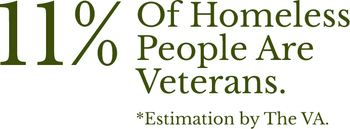 11% of homeless people are veterans graphic